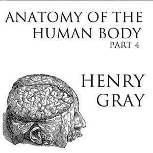 Anatomy of the Human Body, Part 4 audiobook cover